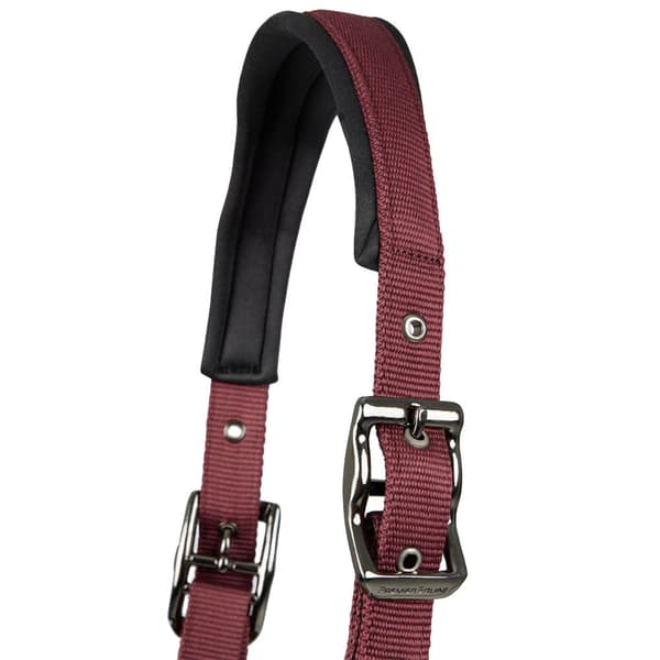 Premier Equine Corda Padded Grime Og Førerem Cob
