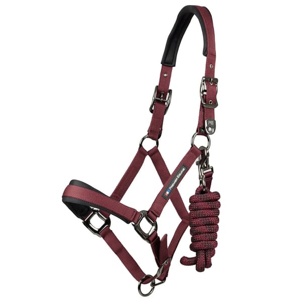 Premier Equine Corda Padded Grime Og Førerem Cob