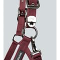 Miniatyrbillede 3 af 6: Premier Equine Corda Padded Grime Og Førerem  Full