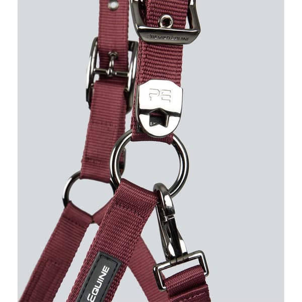Premier Equine Corda Padded Grime Og Førerem  Full