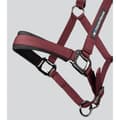 Miniatyrbillede 4 af 6: Premier Equine Corda Padded Grime Og Førerem  Full