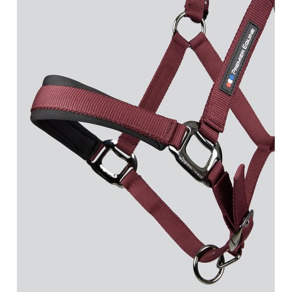 Premier Equine Corda Padded Grime Og Førerem  Full