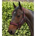 Miniatyrbillede 6 af 6: Premier Equine Corda Padded Grime Og Førerem  Full
