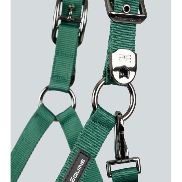 Premier Equine Corda Padded Grime Og Førerem  Full