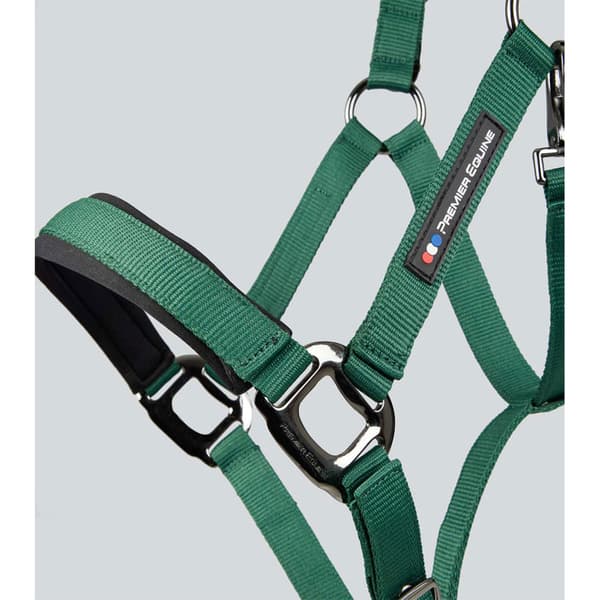 Premier Equine Corda Padded Grime Og Førerem  Full