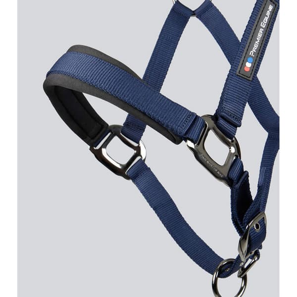 Premier Equine Corda Padded Grime Og Førerem  Cob
