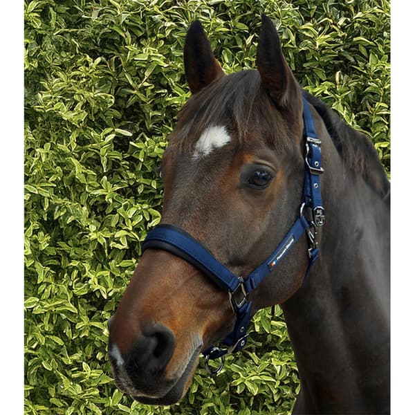 Premier Equine Corda Padded Grime Og Førerem Cob