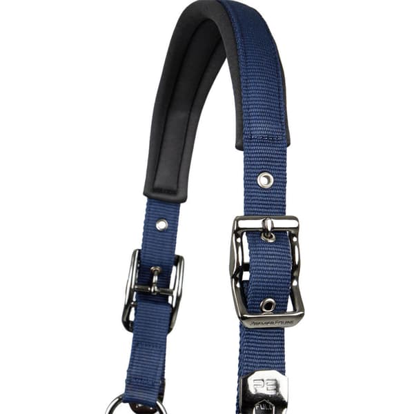 Premier Equine Corda Padded Grime Og Førerem Cob