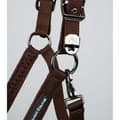 Miniatyrbild 3 av 6: Premier Equine Necto 3d Mesh Grimma Och Ledrep  Cob