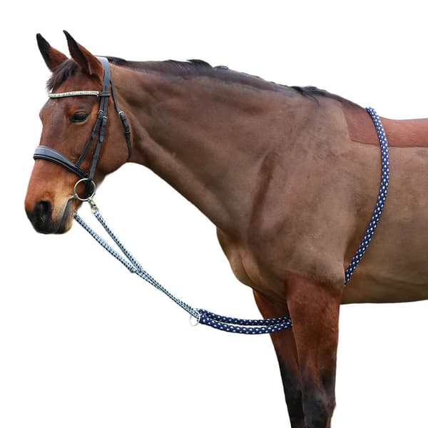 Hy Hjælp til longeføring af heste