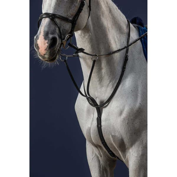 Dyon New English Collection Martingaali Musta Pony