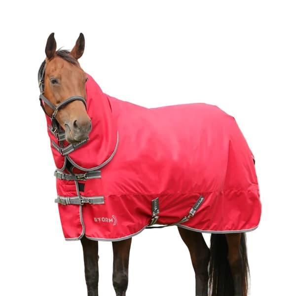 StormX Empra Combi Combo Neck 300g Horse Turnout Rug
