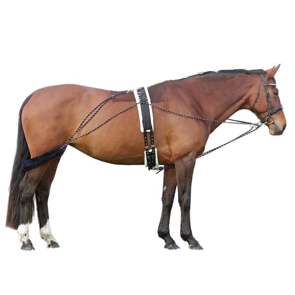 Hy Longeringssystem för hästar Navy/Grey One Size