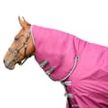 Miniatyrbilde 2 av 3: StormX Empra 200 Combi Combo Neck Horse Turnout Rug