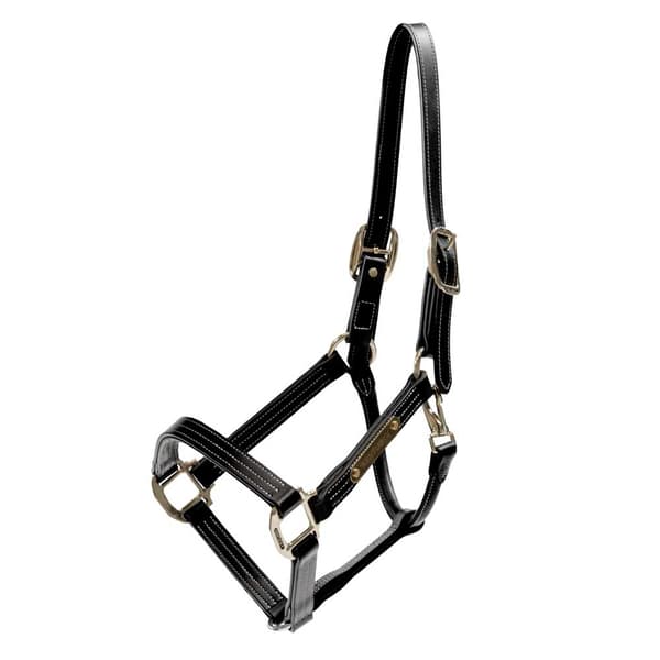Kentucky Wellington Halter  Cob
