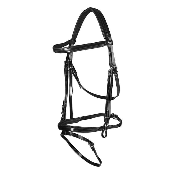 Horka Pvc Flashy Träns Svart Cob