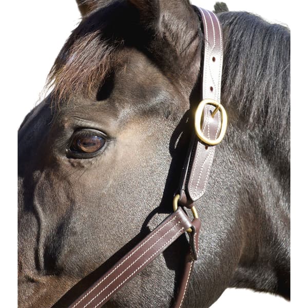 T.de.t Trippledstiched Nylon Reinfrocement Leather Grime  Pony