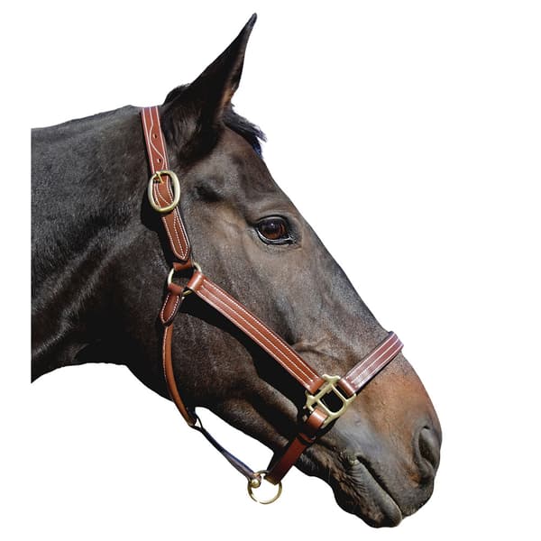 T.de.t Trippledstiched Nylon Reinfrocement Leather Grime  Pony