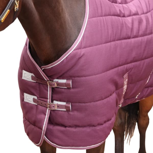 Tempest Original Standard-Neck 300g Horse Stable Rug