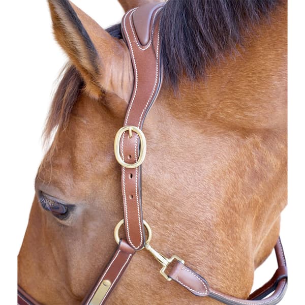 T.de.t Lcvl05 Leather Halter With Anatomical Hovedbeklædning Brun Cob