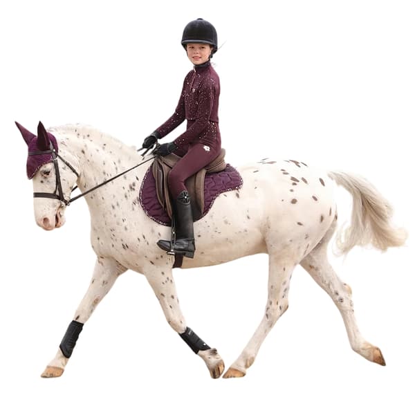 Hy Enchanted Collection Horse Fly Veil
