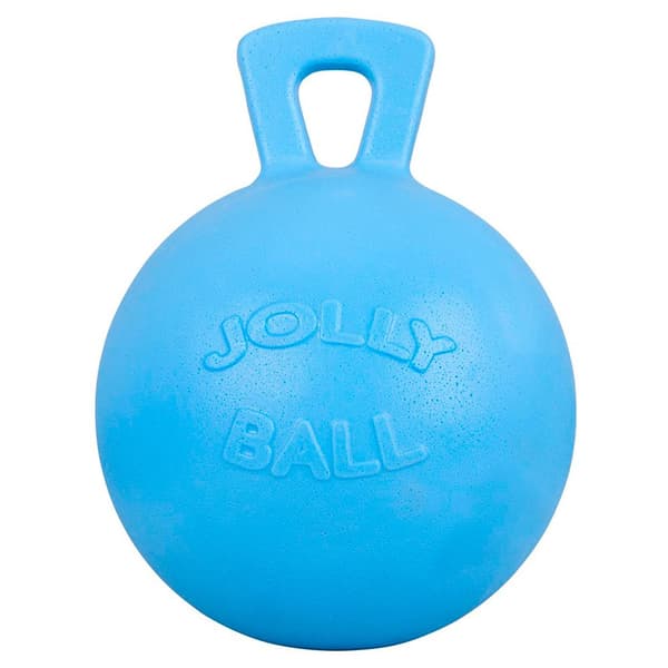 Bieman Mustikka Lelu Play Ball 10´´ Sininen