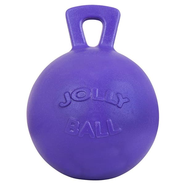 Bieman Legetøj Play Ball 10´´ Lilla