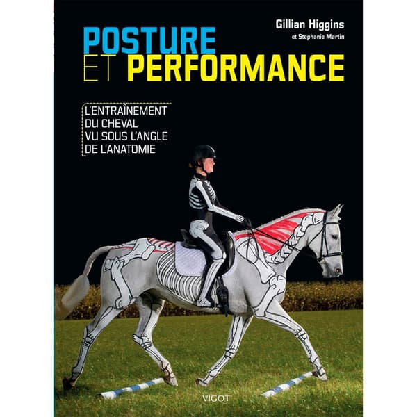 Vigot Posture Ja Performance-kirja Hopeinen