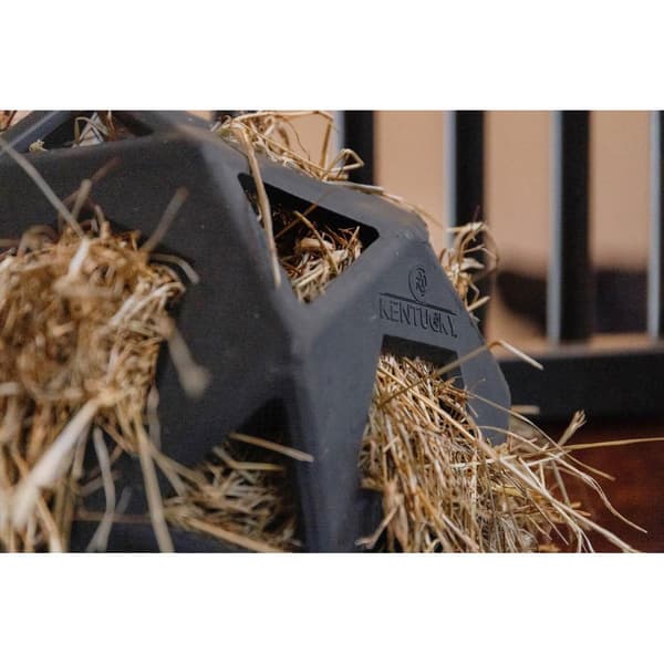 Kentucky Pallo Relax Horse Play & Hay