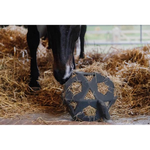 Kentucky Pallo Relax Horse Play & Hay