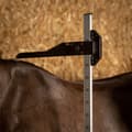 Miniatyrbillede 2 af 2: Harry´s Horse Aluminiumsmeter 180 Cm