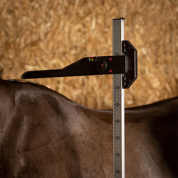 Harry´s Horse Aluminiumsmeter 180 Cm