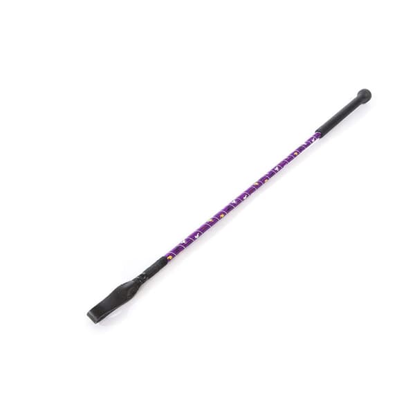 HySCHOOL Silver Riding Whip