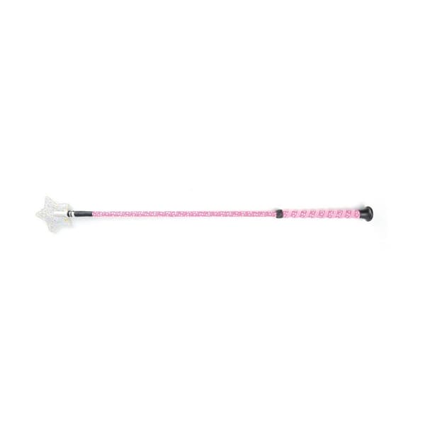 HySCHOOL Spiral Star Riding Whip