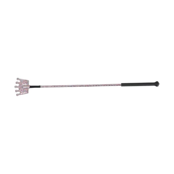 HySCHOOL Glitter Crown ridepisk