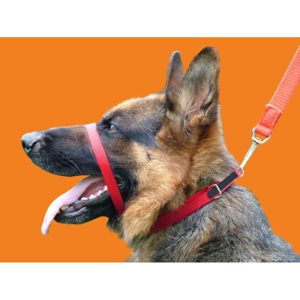 Canny Collar Röd storlek 3 - RCC003