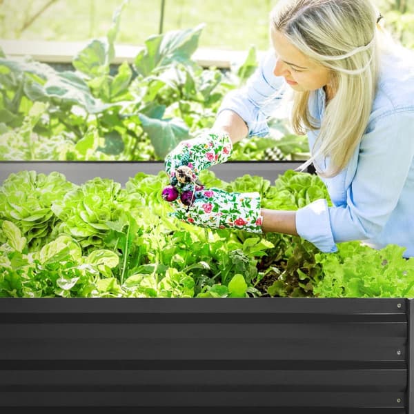 ML-Design sæt med 4 højbede i metal, 120x60x30 cm, 200 liter, antracit, vejrbestandig, rustbestandig, udendørs, plantebed plantekasse blomsterkasse