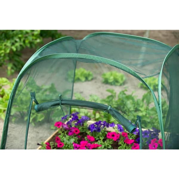 Nature pop-up drivhus 100 x 100 x 100 cm 6020409