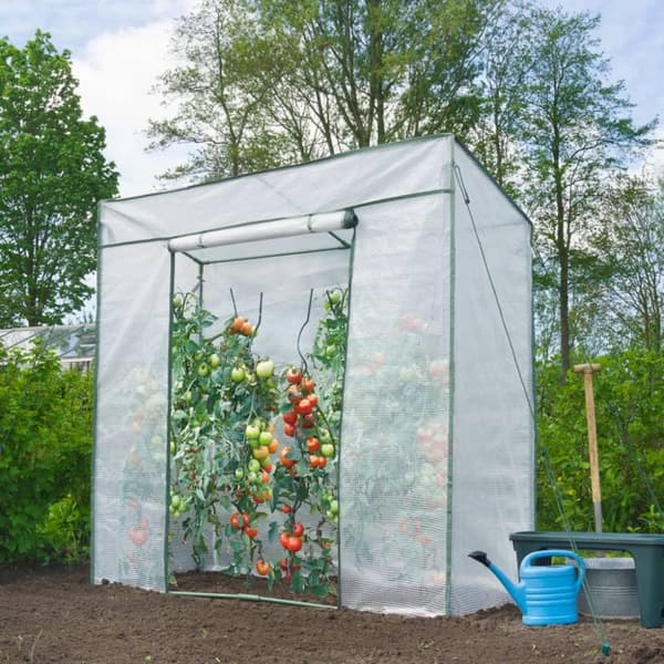 Nature Tomatdrivhus 198x78x200 cm