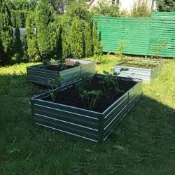 Odlingslåda upphöjd galvaniserat Baumera Garden