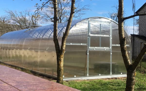 Växthus Baumera Klasika 3x8m med 4 mm polykarbonatbeläggning