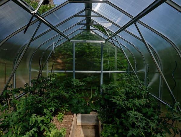Drivhus Baumera STANDARD 15 - 2,5x6m med 4 mm polycarbonatbelægning