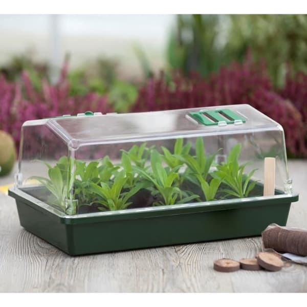 Mini terrinväxthus och ventilerat lock 37x24x18 xm