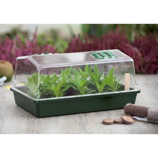 Mini terrinväxthus och ventilerat lock 37x24x18 xm