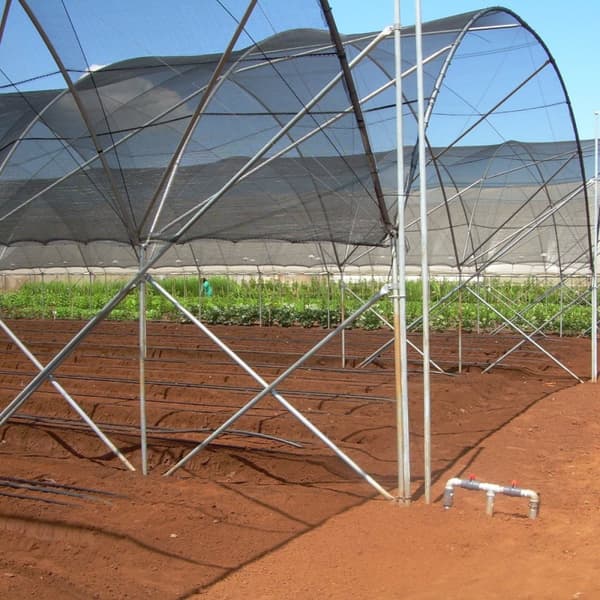 Ny UV-bestandig 600x200CM Varmekorrosionsbestandighed Holdbar solcreme Skyggestof Stof Drivhusplanteovertræk