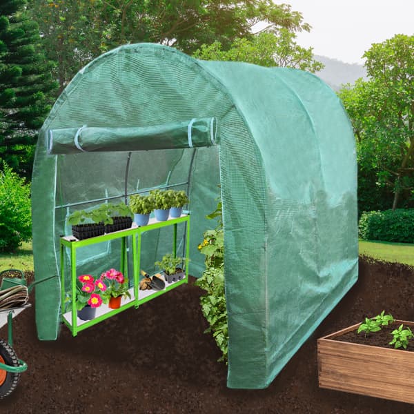 Polyeten Polytunnel Tunnelväxthus 19mm Ram med 2 Växthushyllor Drivhus Växthus Järnram Lättviktigt Markpinnar Dragkedja Fönster Transparent