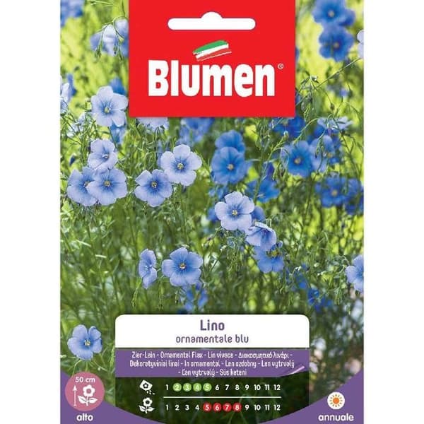 SEMI LINO PRYDA BLU BLUMEN
