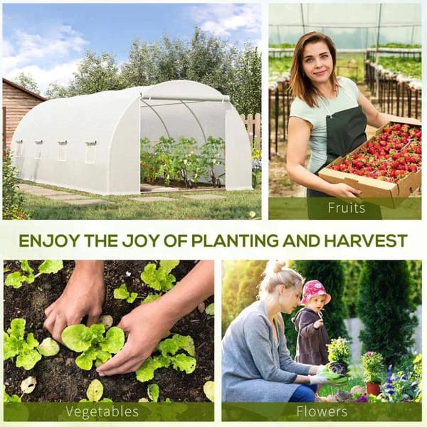 Rootz Folie Drivhus - Polytunnel Drivhus - Drivhus - Plantehus - Walk-in Drivhus - Lynlåsdør - Hvid - 6 X 3 X 2m