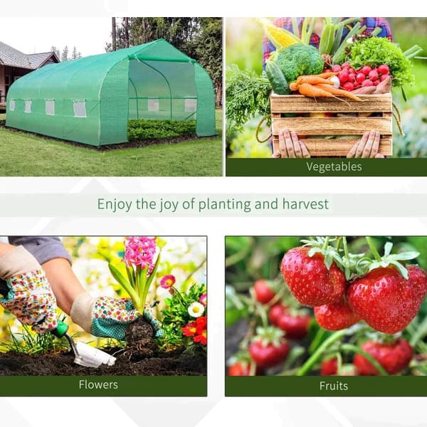 Rootz-foliokasvihuone - Kasvihuone - Kylmärunkoinen kasvihuone - Polytunnel-kasvihuone - Suuri kasvihuone - Vihreä - 6Lx3Wx2H CM