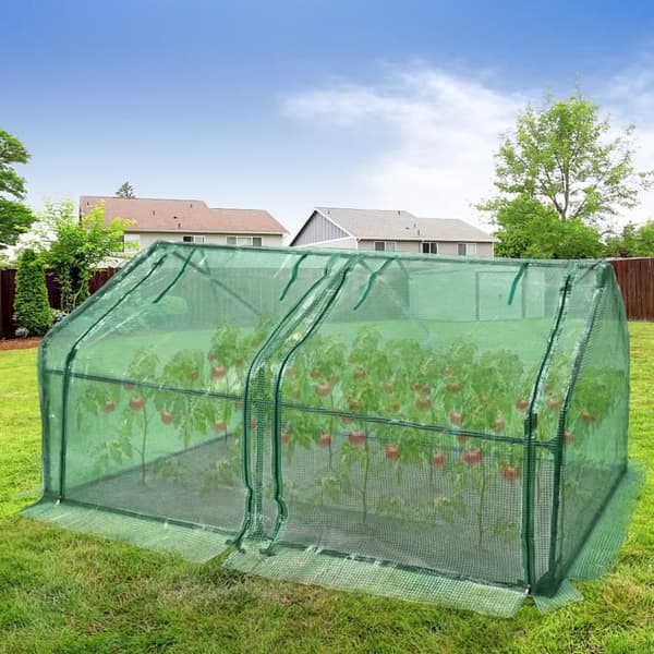 XMTECH Mini All Season Trädgårdsväxthus med rulldörrar 180x90x90cm Anti-UV Tomatväxthus, Grön